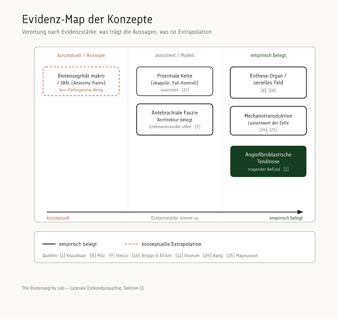 Schema: Evidenz-Map der Konzepte zur lateralen Epikondylopathie, verortet nach Evidenzstärke von empirisch belegt bis konzeptuell