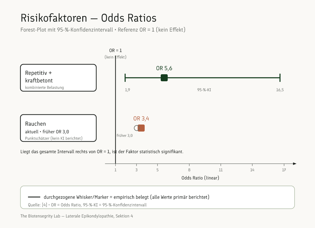 Schema: Risikofaktoren der lateralen Epikondylopathie mit Odds Ratios und Konfidenzintervallen – kombiniert repetitiv-kraftbetonte Arbeit und Rauchen